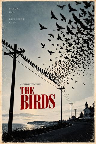 THE BIRDS