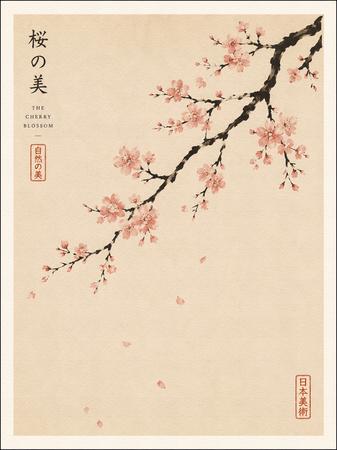 THE CHERRY BLOSSOM