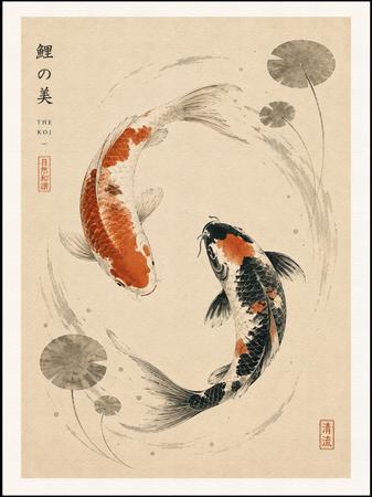 THE KOI