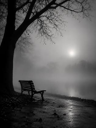 THE BENCH
