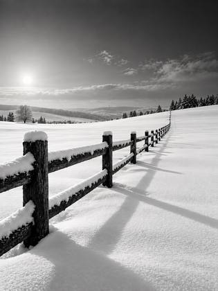 THE FENCE