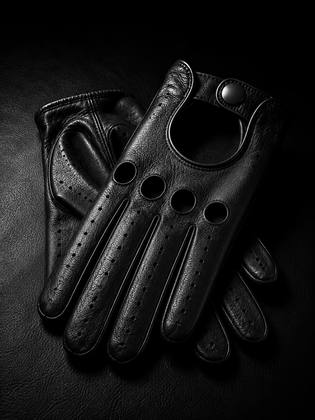 THE GLOVES