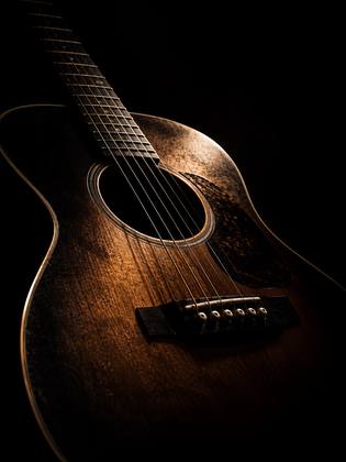 THE GUITAR