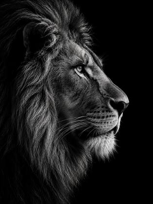 THE LION
