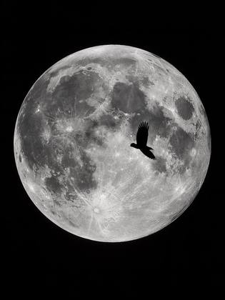 THE MOON