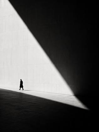 THE SHADOW