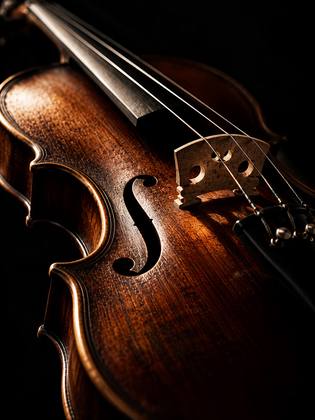 THE VIOLIN