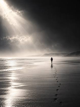 THE WALKER