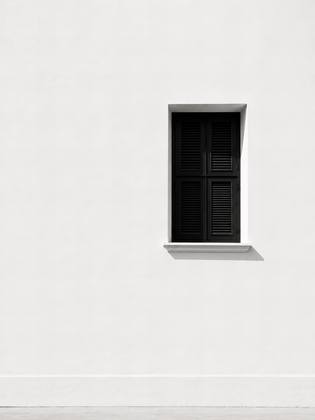 THE WINDOW